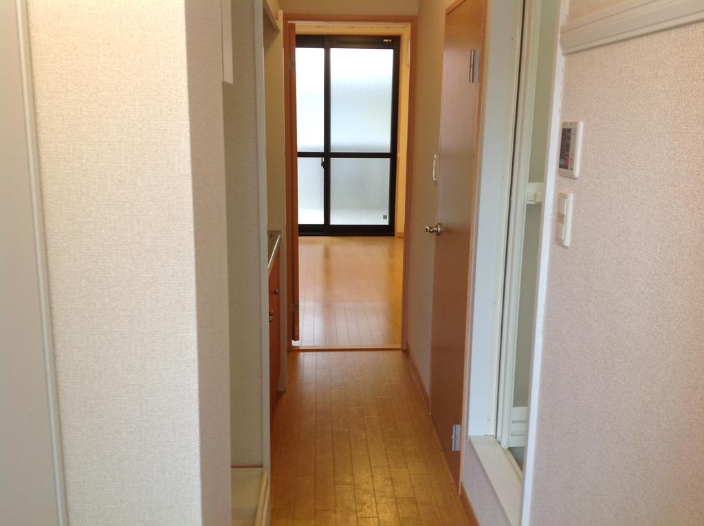 Entrance. Hallway from the entrance to the room