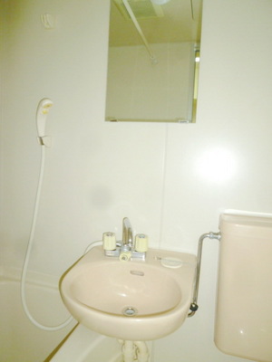 Washroom. In the bathroom ・ Wash basin