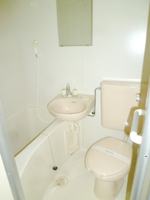 Bath. 3-point unit bathroom