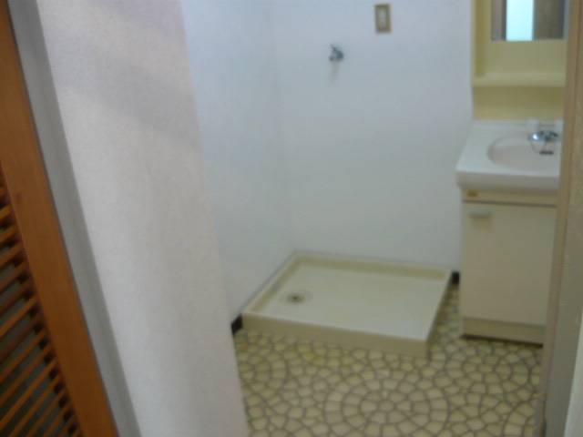 Washroom. Independent sink and washing machine inside the yard