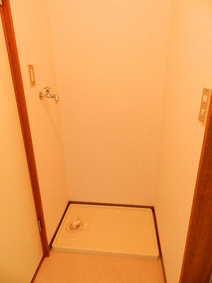 Washroom. Washing machine in the room