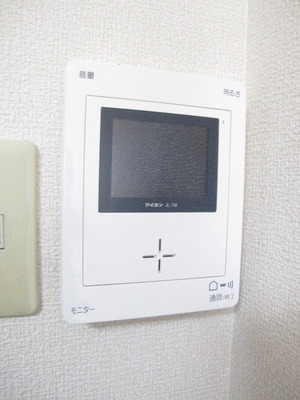 Security. TV monitor Hong