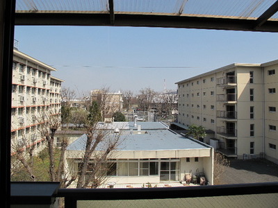 View. Good view