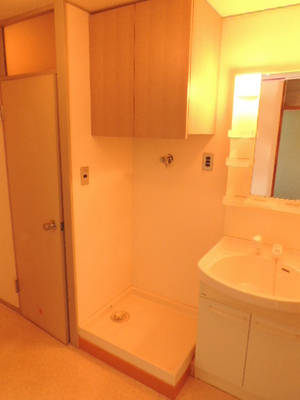 Washroom. Washing machine in the room