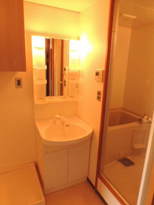 Washroom. Separate vanity
