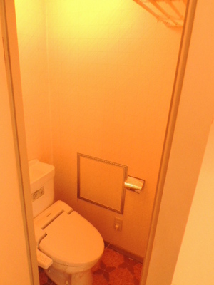 Toilet. Bidet