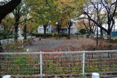park. 80m to the site (park)
