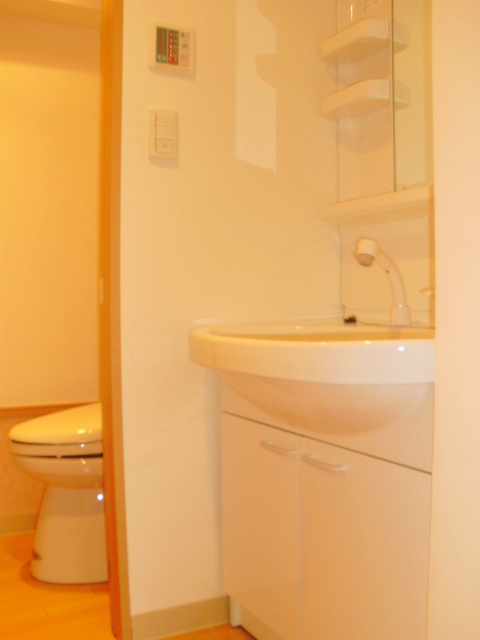 Washroom. Shampoo dresser