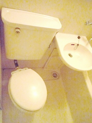 Toilet. Toilet
