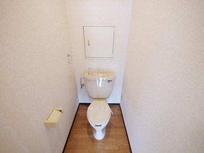 Toilet. Bidet can be installed