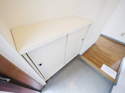 Entrance. There cupboard
