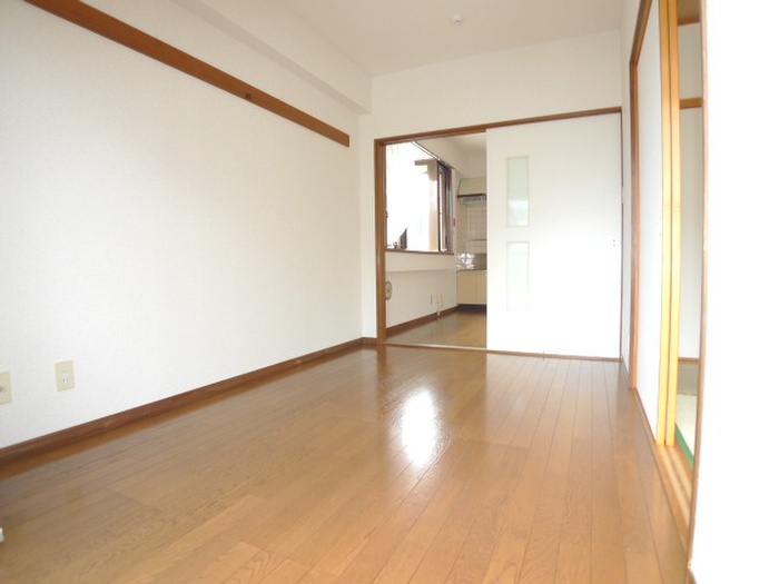 Living and room. Bright room