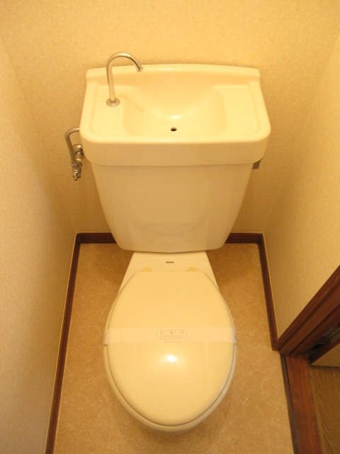 Toilet. Toilet