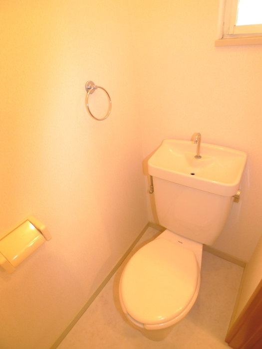 Toilet. Western-style toilet