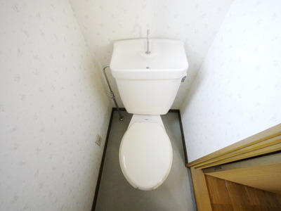 Toilet. Toilet