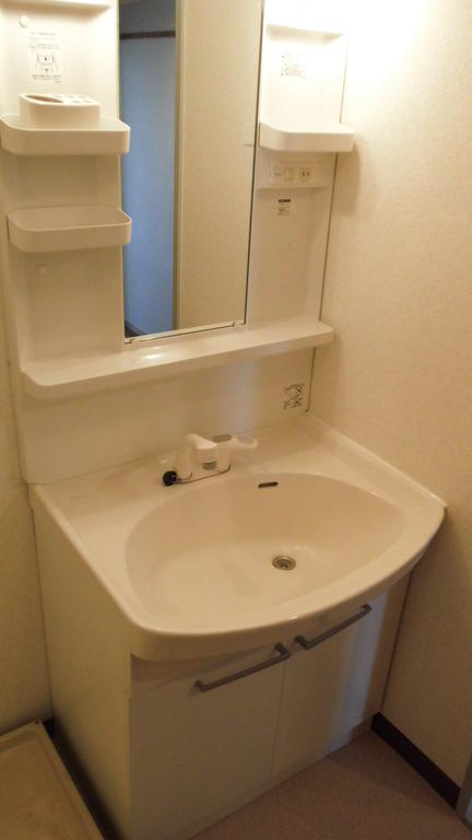 Washroom. Shampoo dresser