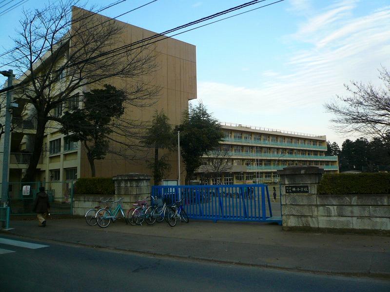 Primary school. Tokorozawa 570m up to municipal forest Elementary School