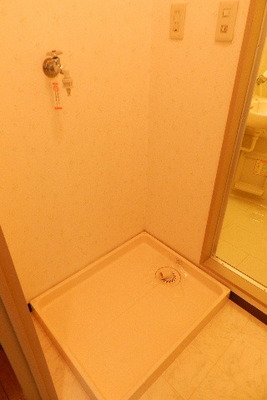 Washroom. Washing machine in the room