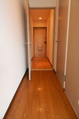 Entrance. Entrance from the living room