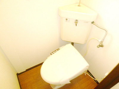 Toilet. Bathroom