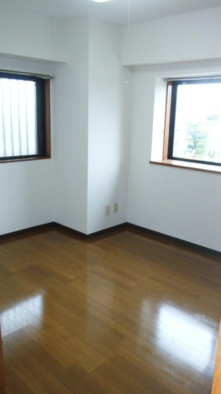 Other room space. Western style room