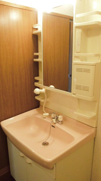 Washroom. Shampoo dresser