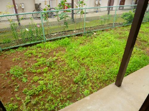Balcony. Veranda