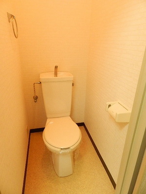 Toilet. Bidet