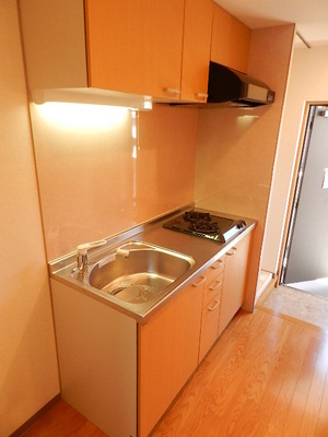 Kitchen. System kitchen