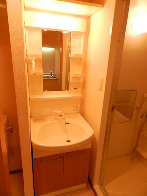Washroom. Shampoo dresser