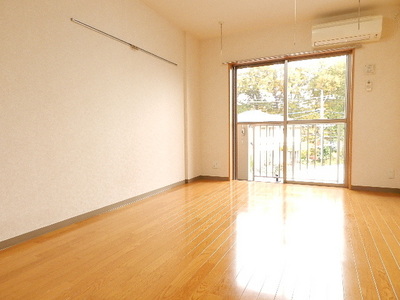 Living and room. Flooring