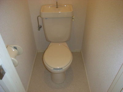 Toilet. Toilet