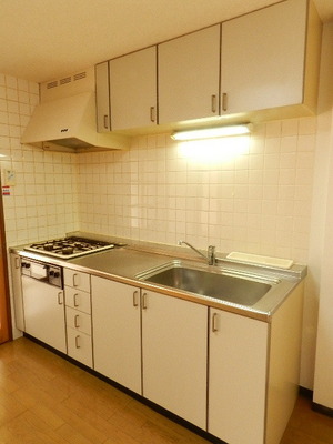 Kitchen. System kitchen