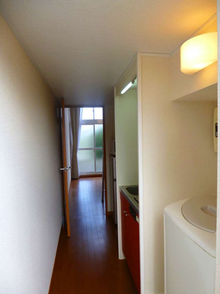Entrance. Corridor section from the entrance to the living room.