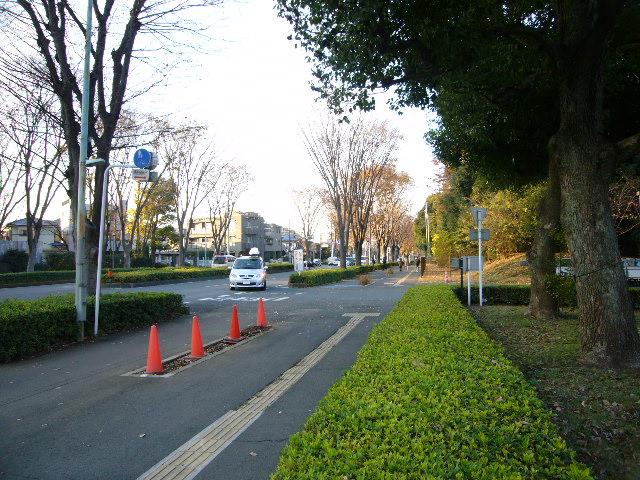 park. Kokukoen the oasis