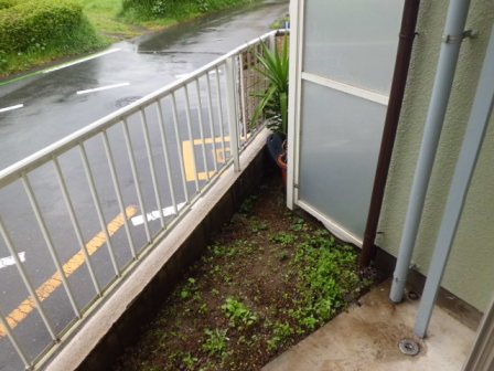 Balcony. Bright room on the road surface. Washing machine storage is veranda.