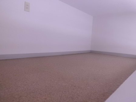 Other room space. Loft is also useful as a sleeping place and luggage storage.