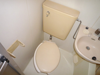 Toilet. Toilet