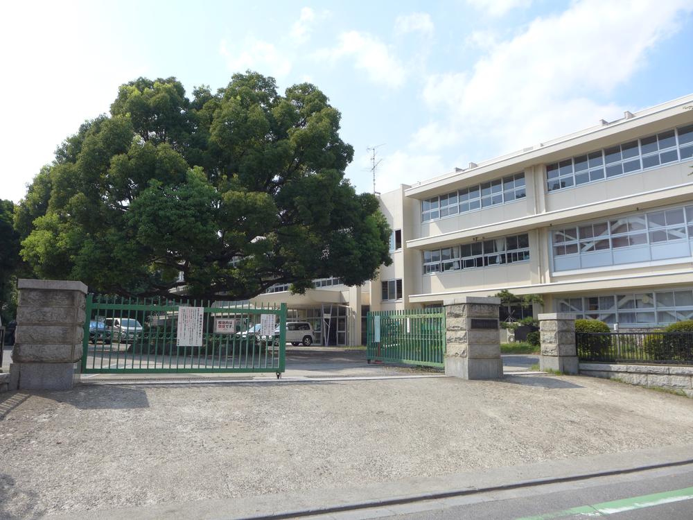 Primary school. SeiSusumu until elementary school 220m