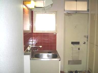 Kitchen. Gas stove can be installed kitchen