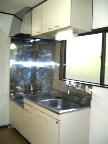 Kitchen. Bright kitchen with a window. Gas stove installation Allowed