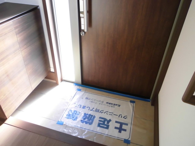 Entrance. Entrance hall of the tint had settled. With a shoe box