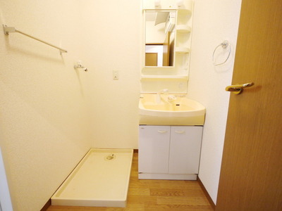 Washroom. Shampoo dresser