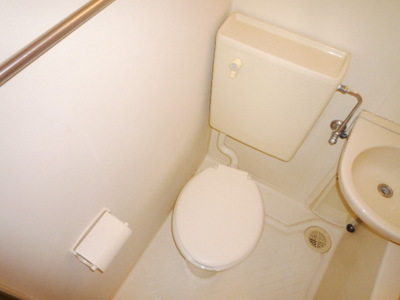 Toilet. Toilet
