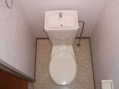 Toilet. Toilet