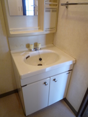 Washroom. Independent wash basin