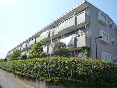 Building appearance