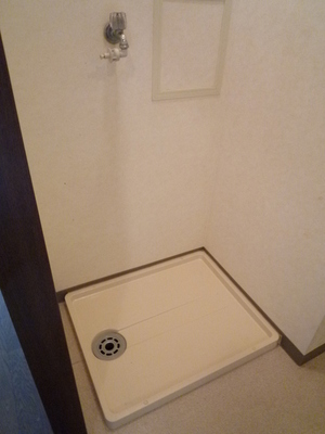 Washroom. Washing machine in the room