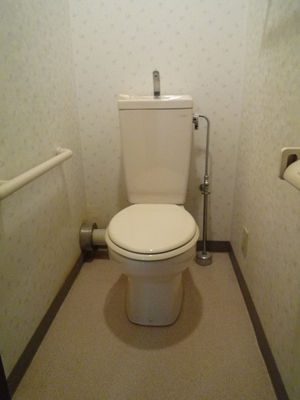 Toilet. Toilet