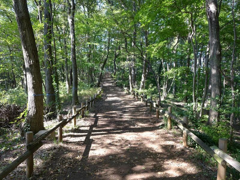 Other Environmental Photo. We will introduce a land of quiet subdivision lush permanent residence to be born in the woods near Arahata located in Sayamakyuryo.